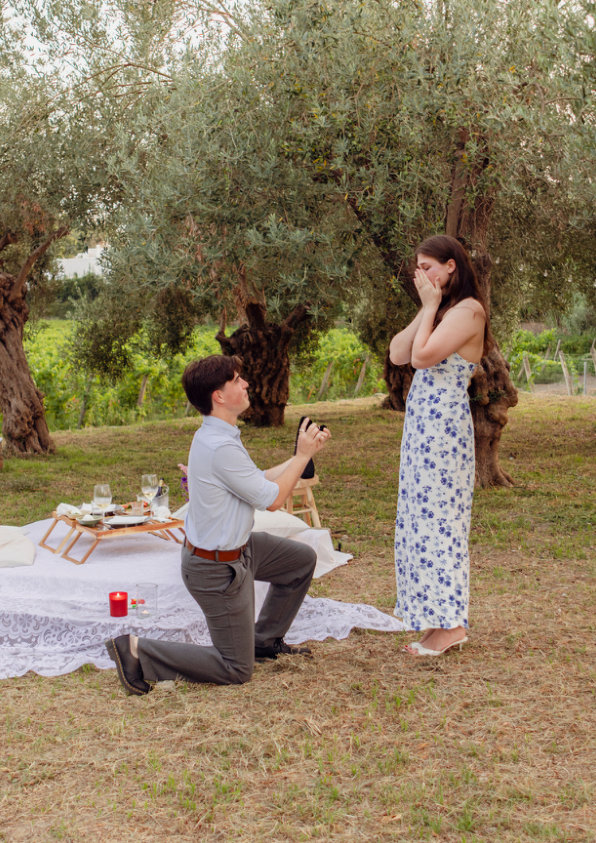 Among the Olive Trees